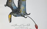 Birds-3-Cassatt
