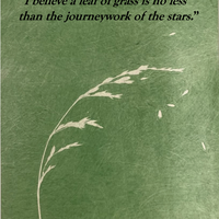 Screenshot 2026-01-18 at 12.49.18