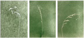 Screenshot 2026-02-01 at 09.09.57